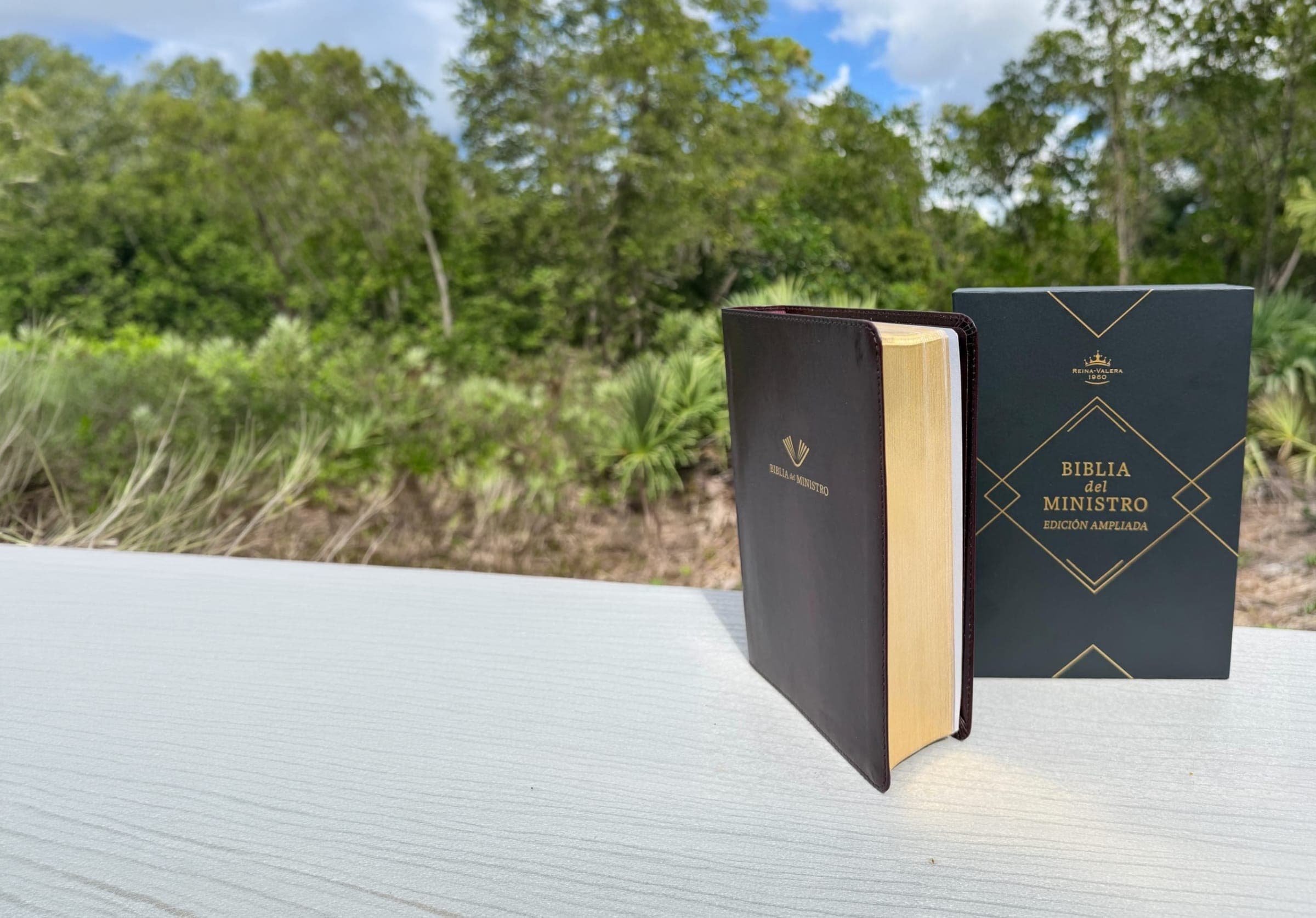 Biblia del Ministro color vino junto a su estuche, sobre una baranda frente a la vegetación