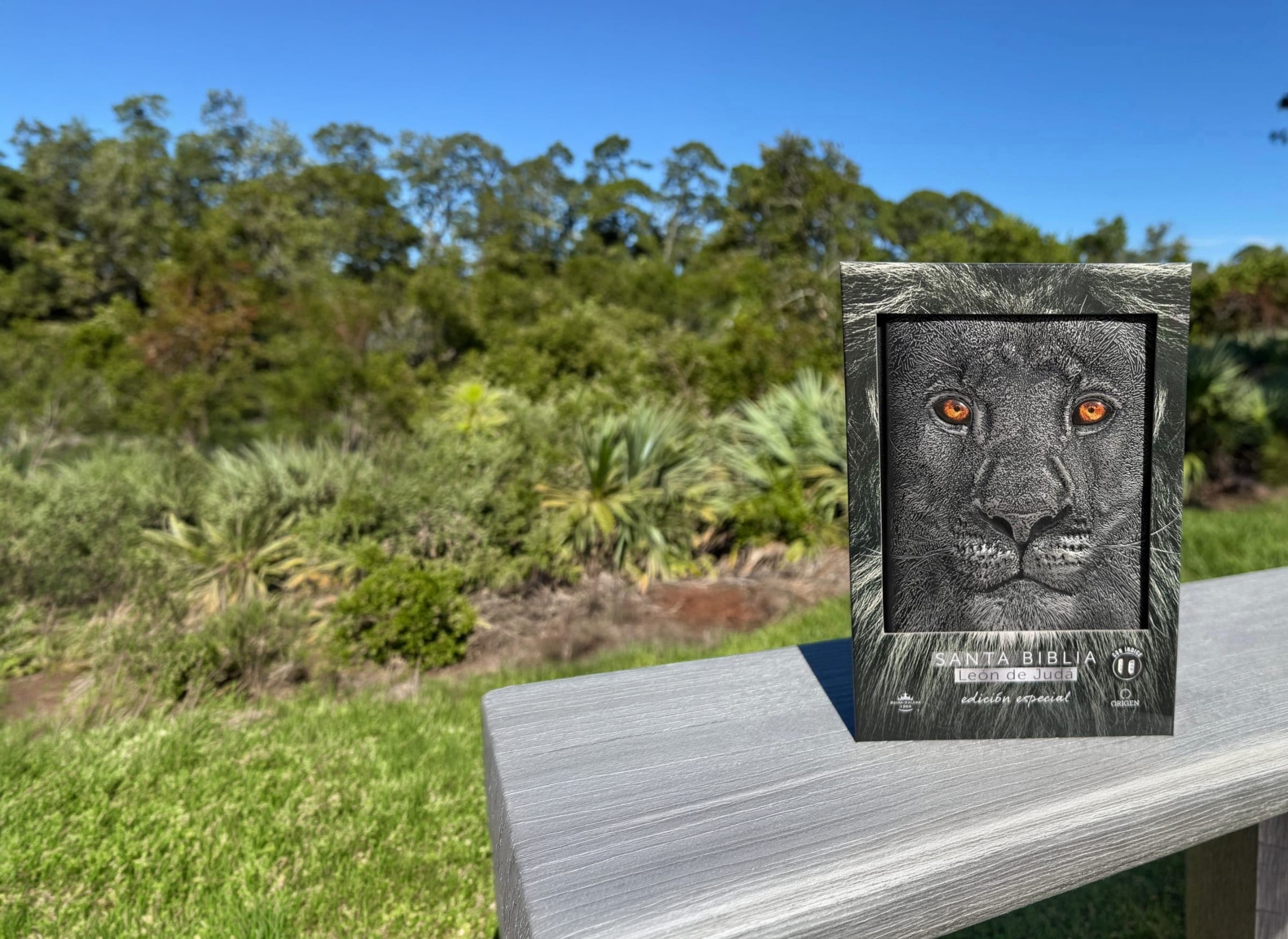 Estuche de la Biblia León de Judá, edición especial, sobre un banco al aire libre