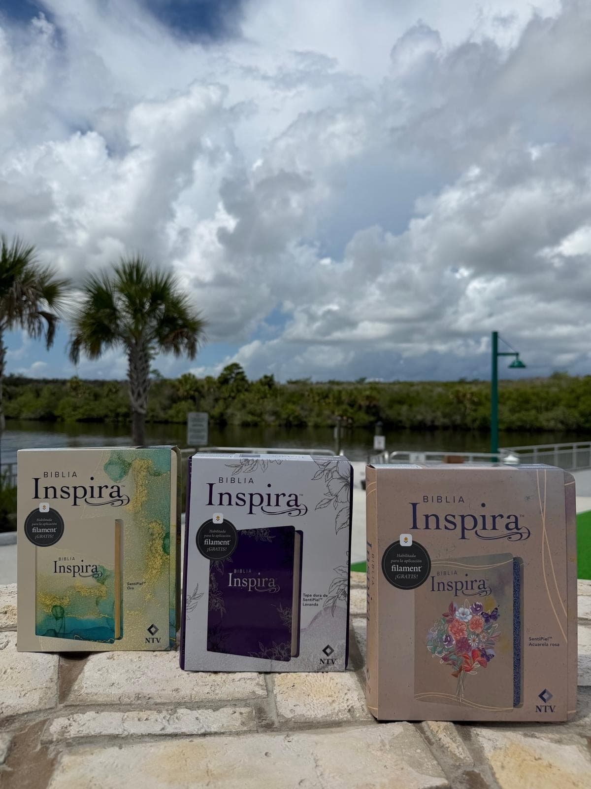 Tres ediciones de la Biblia Inspira NTV en su caja